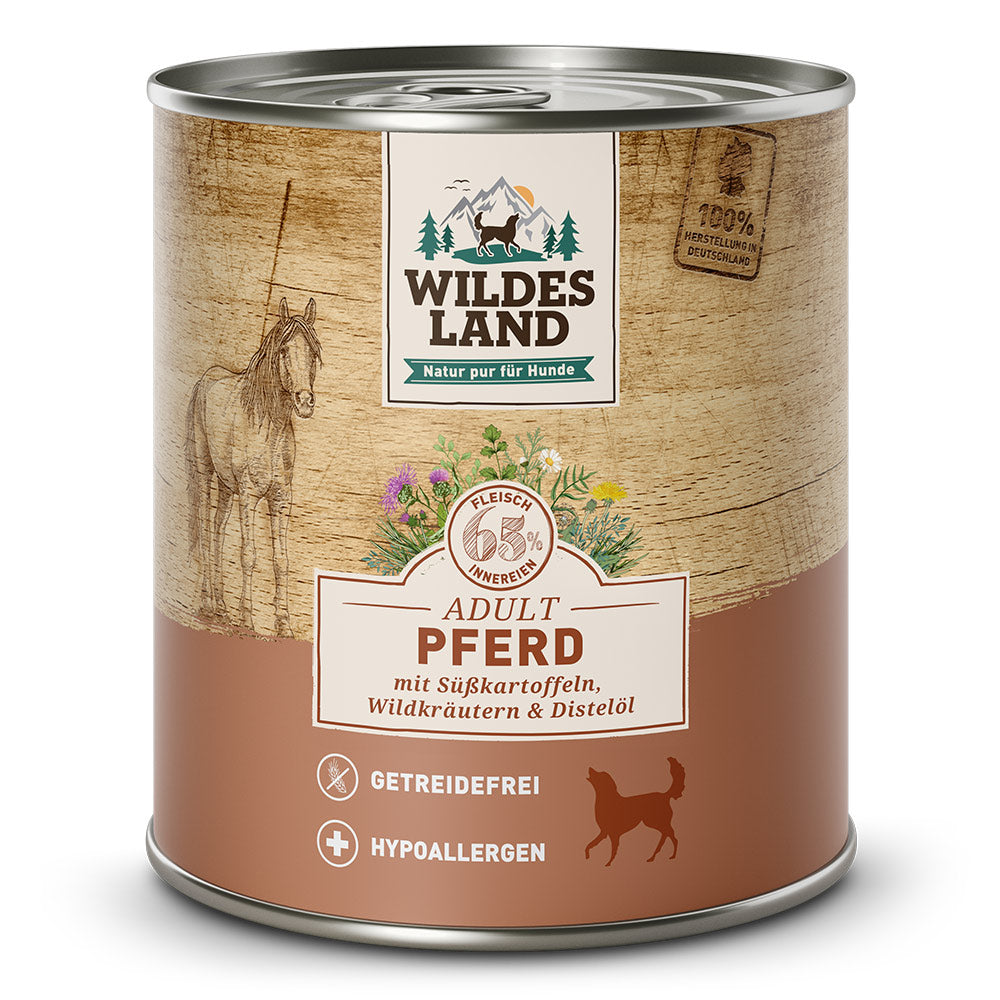 Wildes Land - Paard
