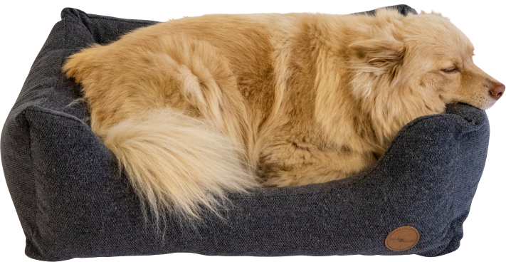 Jack and Vanilla - Hampton Dogbed (orthopedisch, wasbaar, nano)