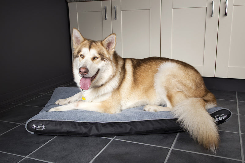 Scruffs - Chateau Memory Foam Plush (orthopedisch, wasbaar)